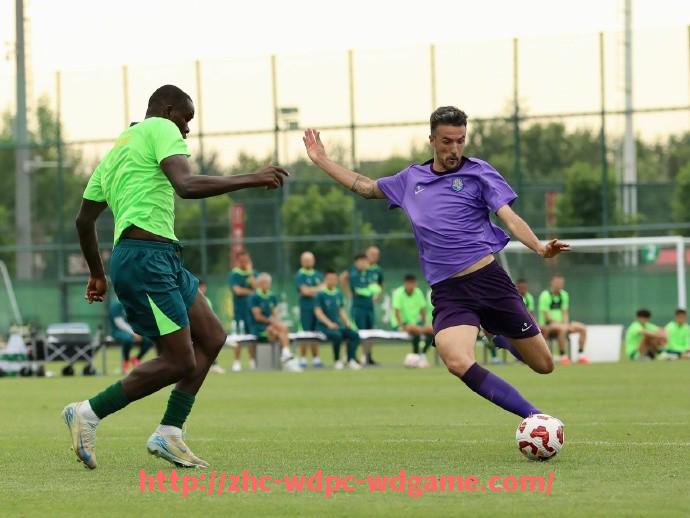 问鼎娱乐官方网站-世俱杯主办周期制度制定及轮换安排策略研究