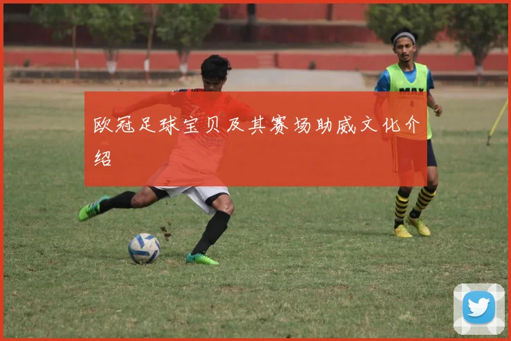 欧冠足球宝贝及其赛场助威文化介绍